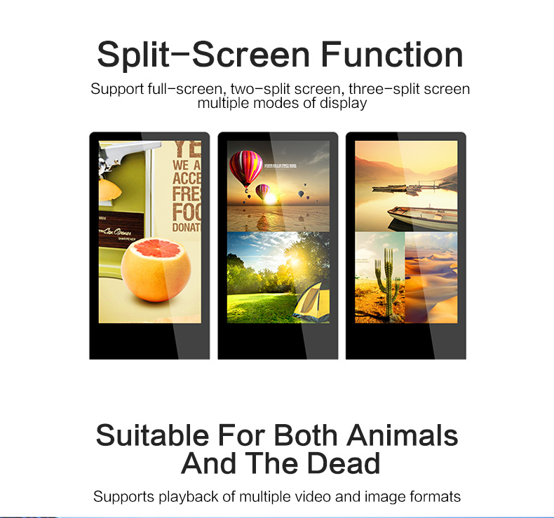 digital signage solution